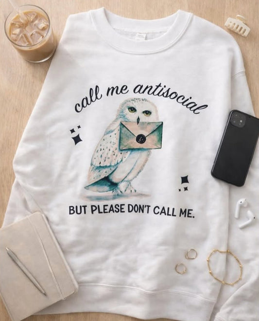 Antisocial Owl Sweater